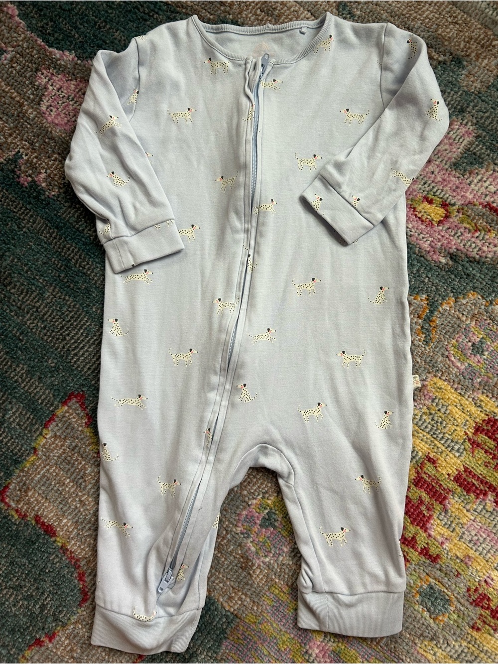 NEXT Pale Blue One-Piece sleeper with Tiny Dog Print